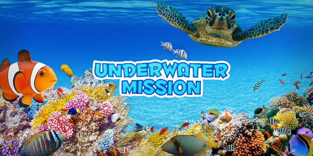 Life under the sea at Ellinopoula.com with My Underwater Mission.